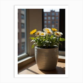 Daisies In A Pot Art Print