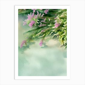 Acropora Nasuta Storybook Watercolour Art Print