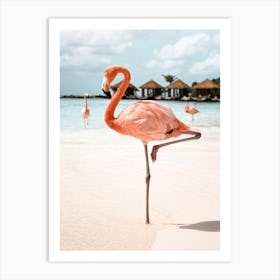 Pink Flamingo On Aruba Island Art Print