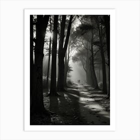 Dark Forest Path Art Print