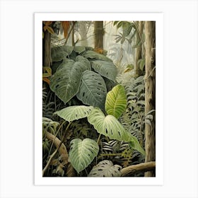 Vintage Jungle Botanical Illustration Monstera 4 Art Print