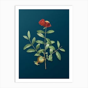 Vintage Pomegranate Branch Botanical Art on Teal Blue n.0368 Art Print