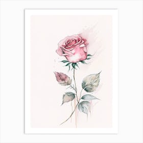 Rose Herb Minimalist Watercolour 1 Art Print