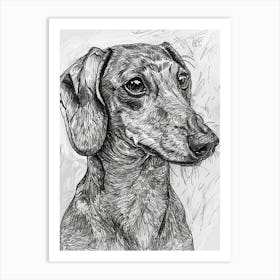 Dachshund Dog Line Sketch 2 Art Print