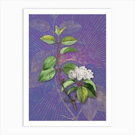 Vintage Black Haw Botanical Illustration on Veri Peri n.0329 Art Print