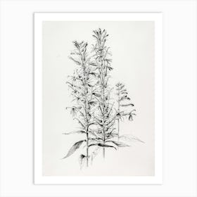 Sassafras 1 Art Print