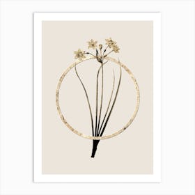 Gold Ring Rush Daffodil Glitter Botanical Illustration n.0214 Art Print