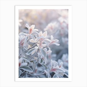 Frosty Botanical Winter Honeysuckle 2 Art Print