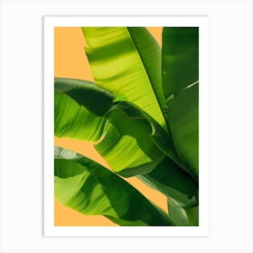 Banana Leaf On Yellow Background Art Print