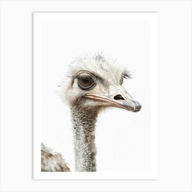 Ostrich 2 Art Print