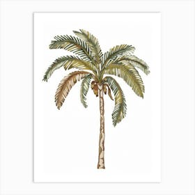 Palm Tree 30 Art Print