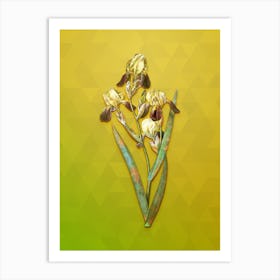 Vintage Elder Scented Iris Botanical Art on Empire Yellow n.0980 Art Print