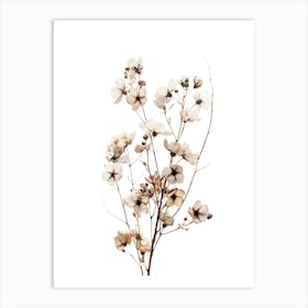 Dried Flowers On A White Background Art Print