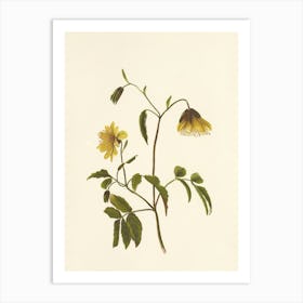 Yellow Flower Art Print