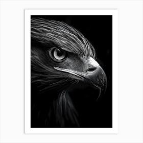 Eagle Portrait Art Print