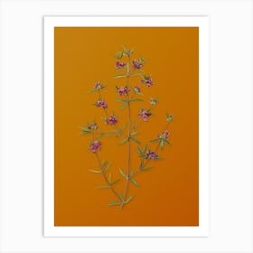 Vintage Heath Mirbelia Branch Botanical on Sunset Orange n.0053 Art Print