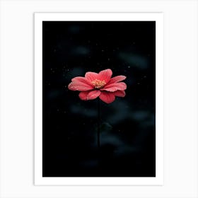 Flower In The Dark Art Print