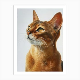 Abyssinian Cat Painting 3 Art Print