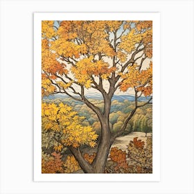 White Ash 2 Vintage Autumn Tree Print  Art Print