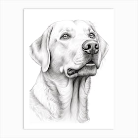 Labrador Retriever Dog, Line Drawing 4 Art Print