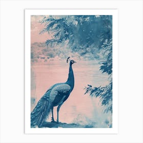 Peacock By The Water Cyanotype Inspired Art Print