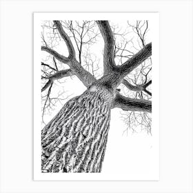 Black And White Tree Art Print