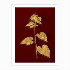 Vintage Morning Glory Flower Botanical in Gold on Red Art Print