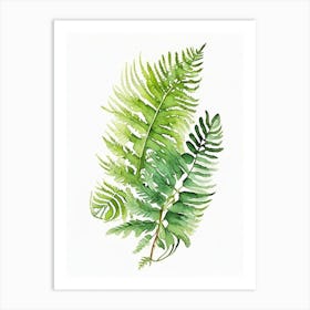 Pteris Fern Watercolour Art Print