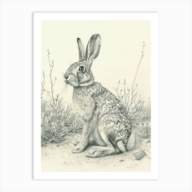 Cinnamon Rabbit Drawing 3 Art Print