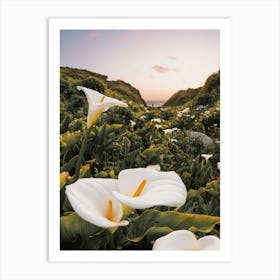 White Flower Patch Art Print