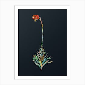 Vintage Scarlet Martagon Lily Botanical Watercolor Illustration on Dark Teal Blue n.0005 Art Print