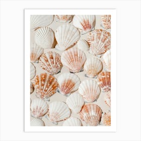 Seashell Prints Art Print