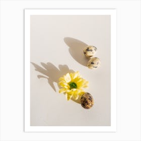 Shadow Of A Flower Art Print