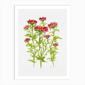 Ruby Red Aster Art Print