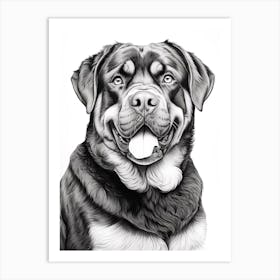 Rottweiler Dog, Line Drawing 2 Art Print