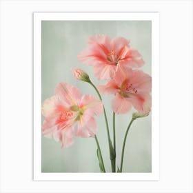 Amaryllis Flowers Acrylic Pastel Colours 2 Art Print