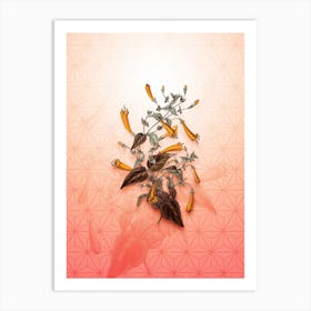 Heart Leaved Manettia Vintage Botanical in Peach Fuzz Asanoha Star Pattern n.0011 Art Print