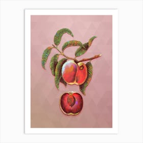 Vintage Carrot Peach Botanical Art on Crystal Rose n.0702 Art Print