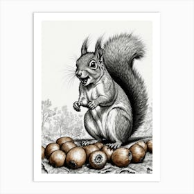 Squirrel With Nuts Art Print