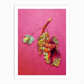 Vintage Grape Vine Botanical Art on Beetroot Purple n.1202 Art Print