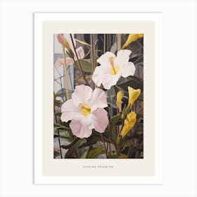 Flower Illustration Evening Primrose 2 Poster Art Print