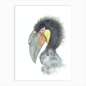 Hornbill bird Art Print