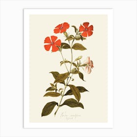 Hibiscus 59 Art Print