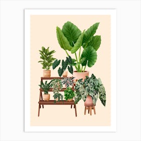 Indoor Plants 3 Art Print