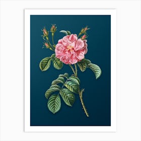 Vintage Pink Wild Rose Botanical Art on Teal Blue n.0792 Art Print