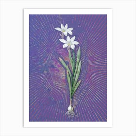 Vintage Ixia Liliago Botanical Illustration on Veri Peri n.0242 Art Print