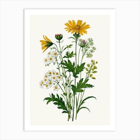 Vintage Botanical Galleria Style Wildflower Painting 17 Art Print