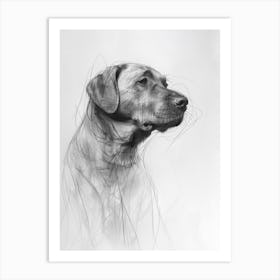 Minimalist Labrador Dog Charcoal Line 1 Art Print