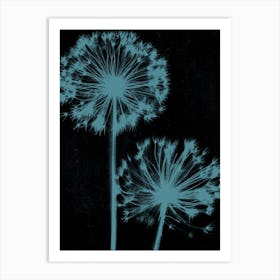 Black teal alliums Art Print