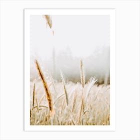 Foggy Field Art Print